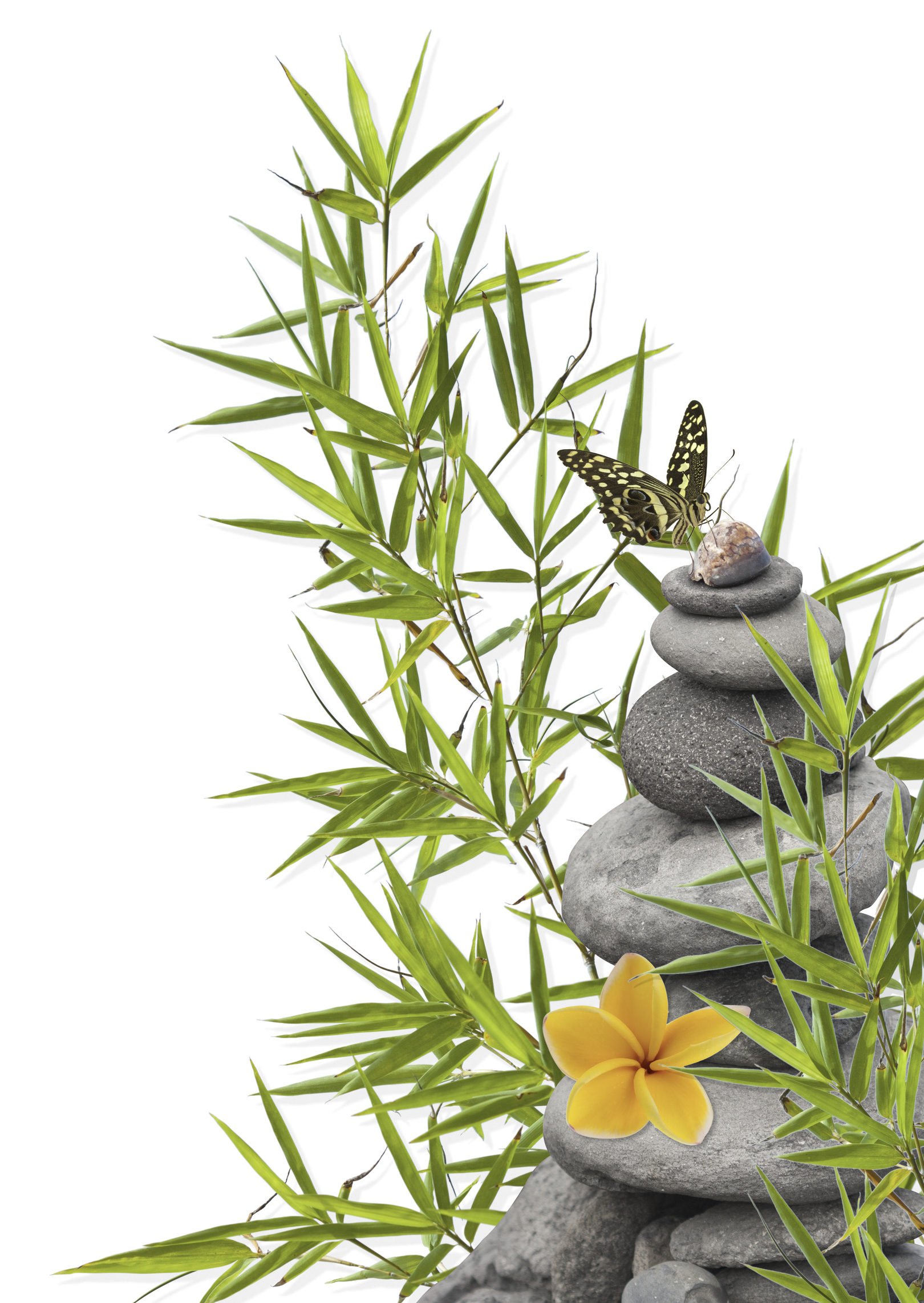 concept nature, détente, bien-être, relaxation