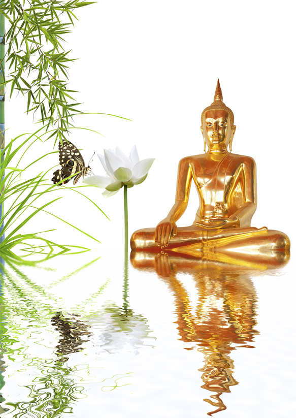 bouddha doré, lotus, bambou et papillon