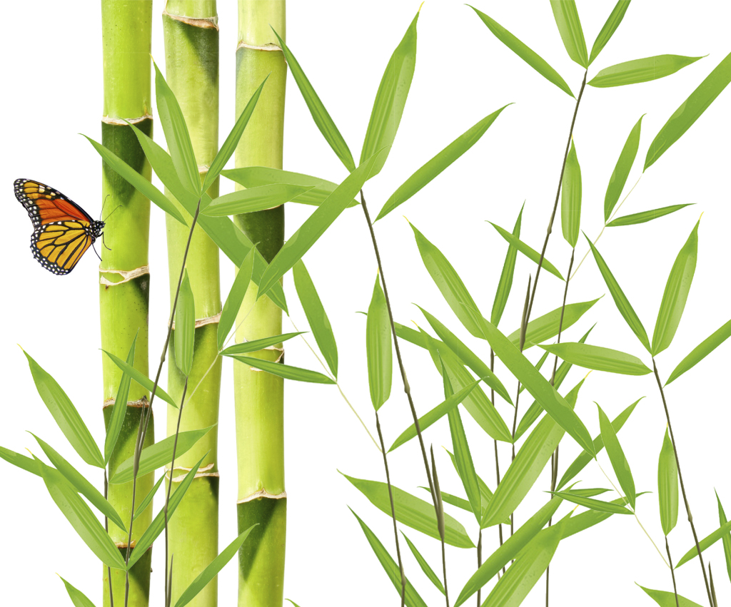 Schmetterling im Bambus Garten